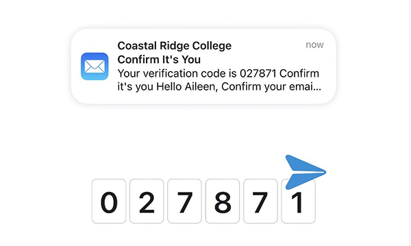 Mã xác nhận được điền tự động khi bạn truy cập Mail trên Safari